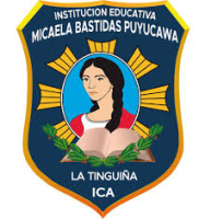 INSTITUCION EDUCATIVA MICAELA BASTIDAS PUYUCAWA